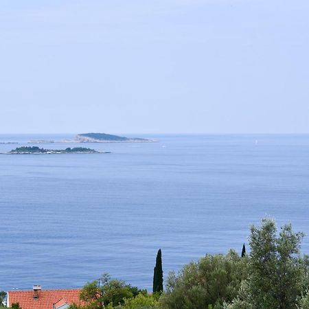 Apartment Eli - Sea View Mlini Dış mekan fotoğraf