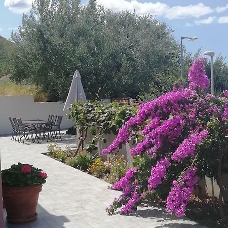 Apartment Eli - Sea View Mlini Dış mekan fotoğraf