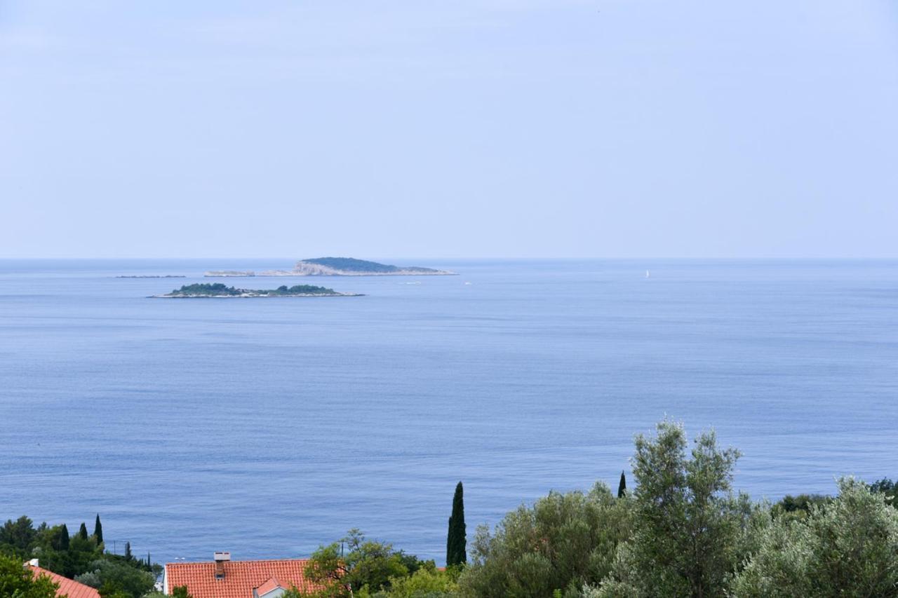 Apartment Eli - Sea View Mlini Dış mekan fotoğraf