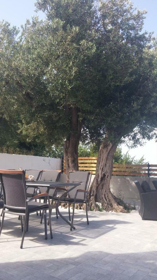 Apartment Eli - Sea View Mlini Dış mekan fotoğraf