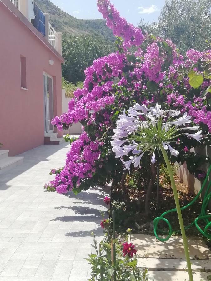 Apartment Eli - Sea View Mlini Dış mekan fotoğraf