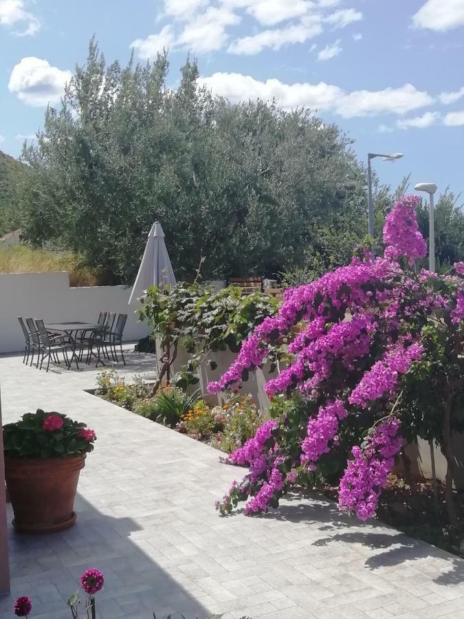 Apartment Eli - Sea View Mlini Dış mekan fotoğraf